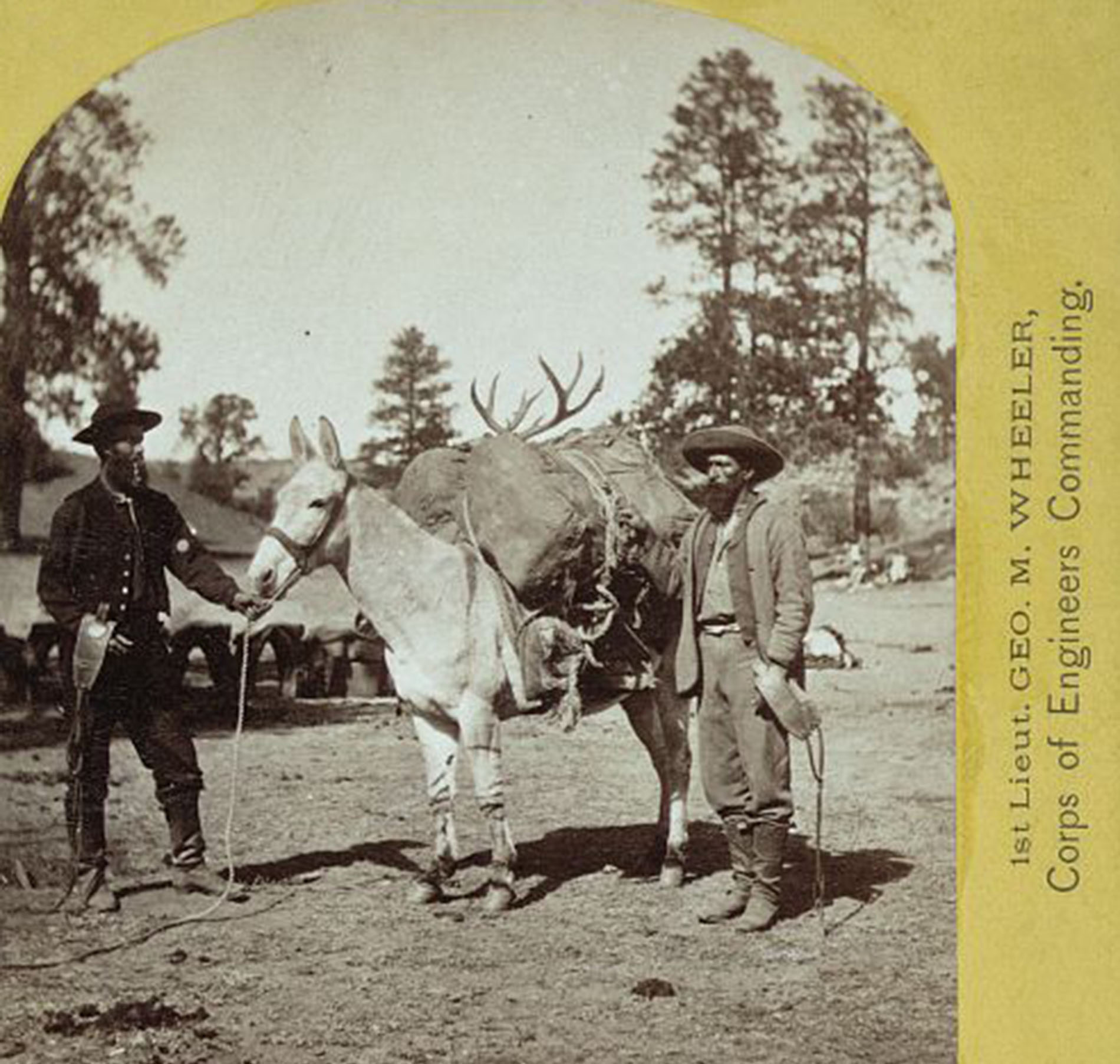 Two men standing near a mule with packs
